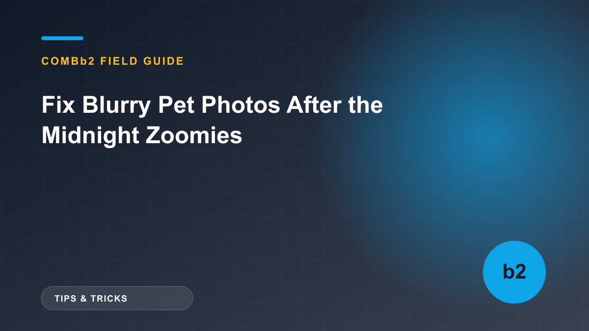 Fix Blurry Pet Photos After the Midnight Zoomies Fix Blurry Pet Photos After the Midnight Zoomies